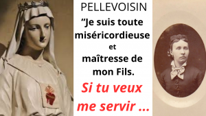 Lire la suite à propos de l’article Apparition de la Sainte Vierge à Pellevoisin